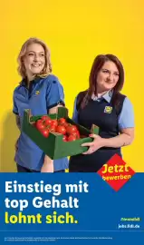 Lidl Prospekt Seite 67