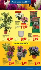 Lidl folder week 27 Pagina 17