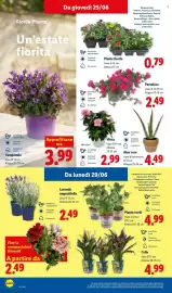 Volantino Lidl settimana 26 Pagina 36