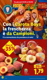 Volantino Lidl settimana 26 Pagina 4
