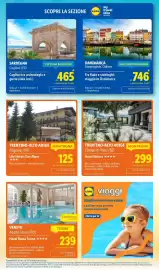Volantino Lidl settimana 26 Pagina 51