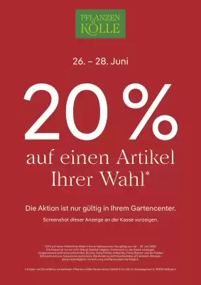 Pflanzen Kölle (gültig bis 28-06)