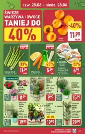 ALDI gazetka tydzień 26 Strona 37