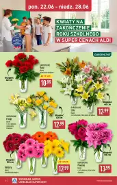 ALDI gazetka tydzień 26 Strona 6