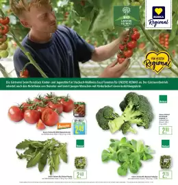 Marktkauf Prospekt Seite 12