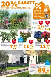 Globus Baumarkt Prospekt woche 26 Seite 4