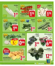 Edeka Prospekt Seite 5
