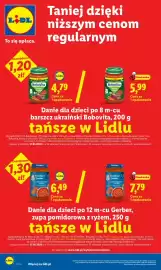 Lidl gazetka Strona 28