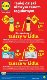 Lidl gazetka Strona 29