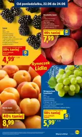 Lidl gazetka Strona 35