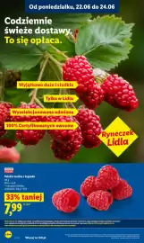 Lidl gazetka Strona 36