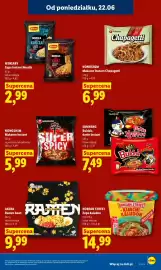 Lidl gazetka Strona 47