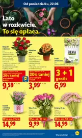 Lidl gazetka Strona 87