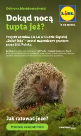 Lidl gazetka Strona 99