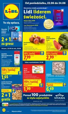 Lidl gazetka