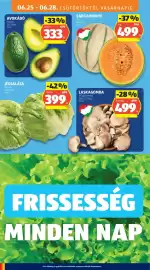 ALDI akciós újság hét 26 Oldal 10