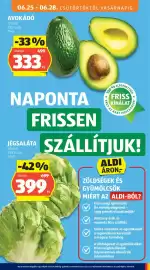 ALDI akciós újság hét 26 Oldal 15