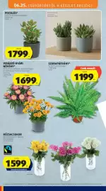 ALDI akciós újság hét 26 Oldal 30