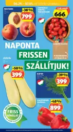 ALDI akciós újság hét 26 Oldal 31