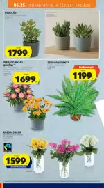 ALDI akciós újság hét 26 Oldal 6