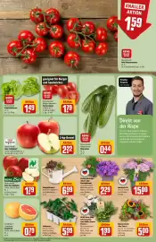 REWE Center Prospekt woche 26 Seite 9