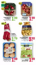 Scheck-in-Center Prospekt woche 26 Seite 19