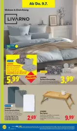 Lidl Prospekt woche 28 Seite 36