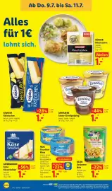 Lidl Prospekt woche 28 Seite 46
