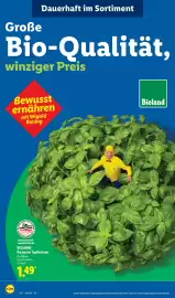 Lidl Prospekt woche 28 Seite 52