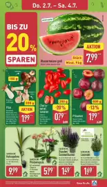 Aldi Nord Prospekt woche 27 Seite 31
