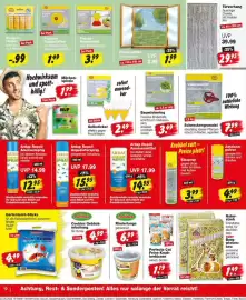 Repo Markt Prospekt woche 26 Seite 10