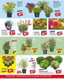 Repo Markt Prospekt woche 26 Seite 2