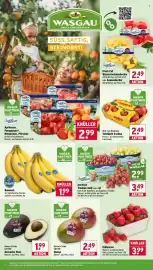 Wasgau Prospekt woche 26 Seite 8