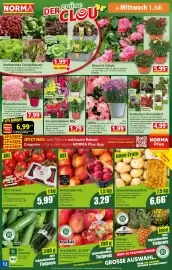 Norma Prospekt woche 27 Seite 12