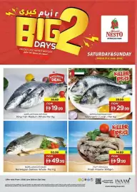 Nesto catalogue Page 2