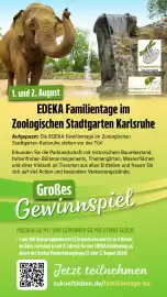 Edeka Stenger Prospekt woche 26 Seite 13