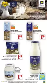 Edeka Stenger Prospekt woche 26 Seite 20