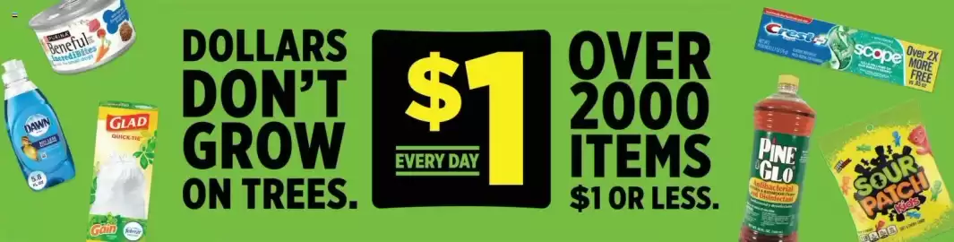 Dollar General weekly ad week 26 Page 2