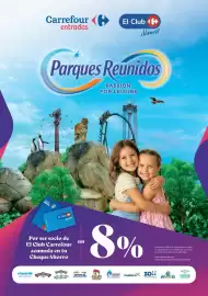 Folleto Carrefour Página 19