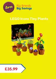 B&M Stores leaflet Page 5