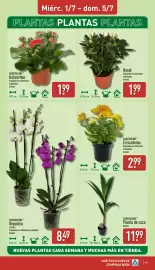 Folleto ALDI semana 27 Página 17