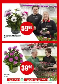 Spar kundeavis Side 13