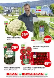Spar kundeavis Side 2