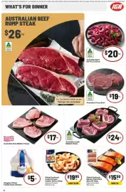 IGA catalogue week 26 Page 9