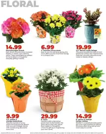 Hy-Vee weekly ad week 26 Page 34