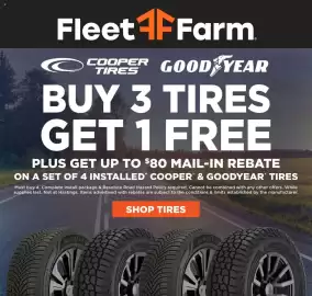 Mills Fleet Farm weekly ad week 26 Page 2