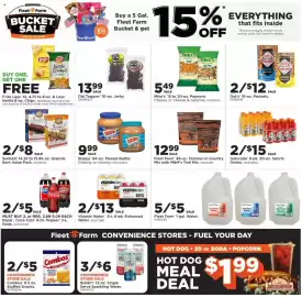 Mills Fleet Farm weekly ad week 26 Page 29