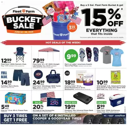 Mills Fleet Farm (valid until 28-06)