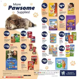 Family Dollar weekly ad week 26 Page 11