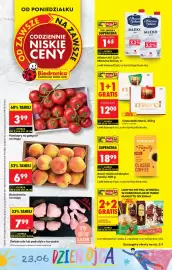 Biedronka gazetka tydzień 26 Strona 1